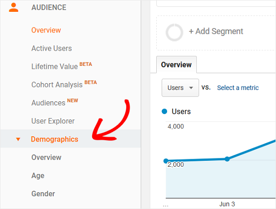 Google Analytics Audience